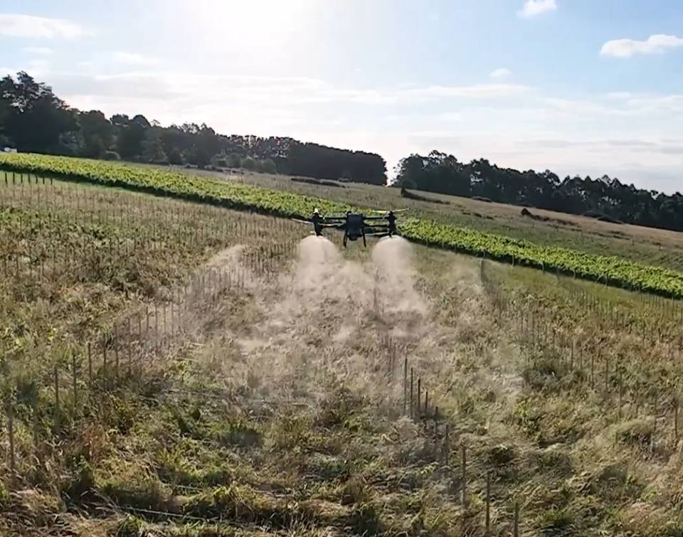 A spray drone flying low over a vineyard block, spray coming from both sides.