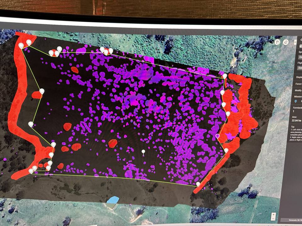 A field map on a screen, with weeds and trees marked in colour inside the block boundary.