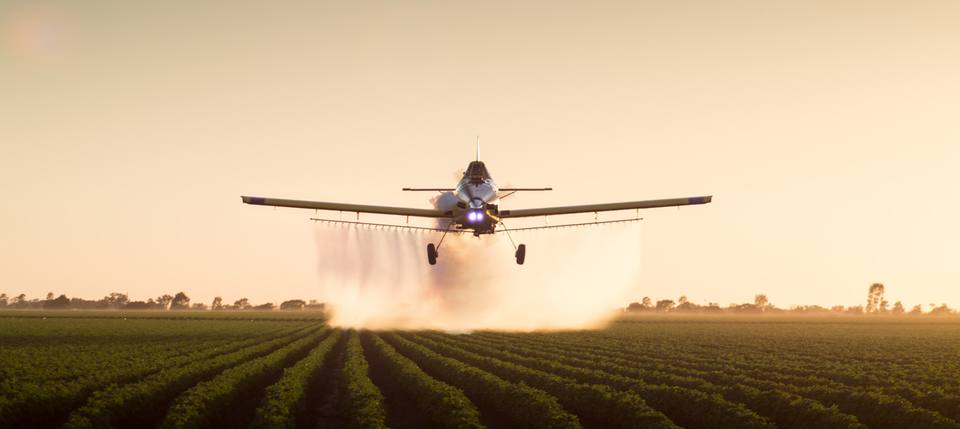 A crop-spraying plane flying low over rows of crop at sunset, spray trailing behind.