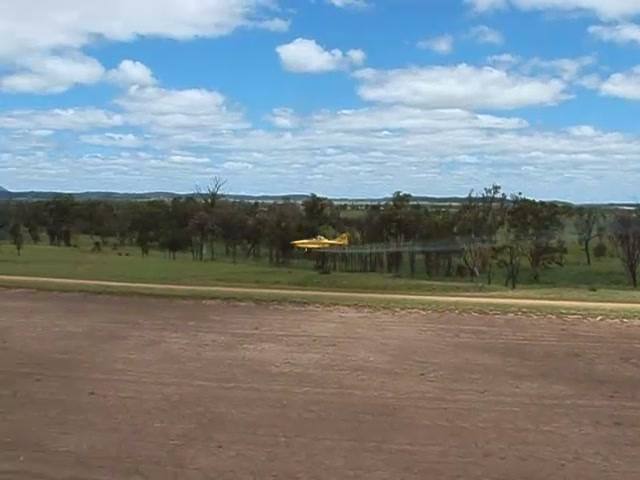 A yellow agricultural plane flying low over paddocks, seen from an airstrip.